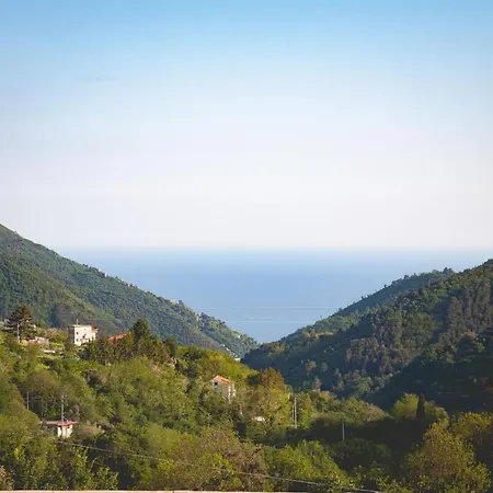 Citarella Tramonti