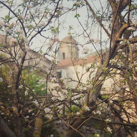 Casa di campagna Citarella Tramonti