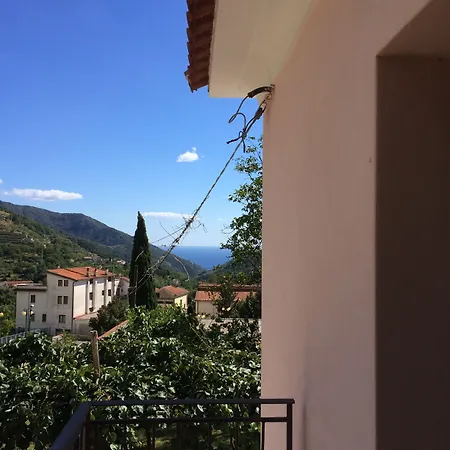 Citarella *