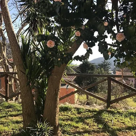 Kır Evi Citarella